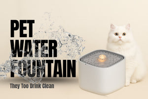 Pet Water Fountain