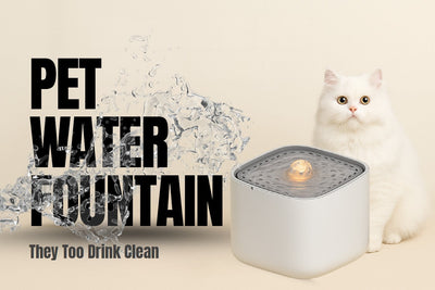 Pet Water Fountain