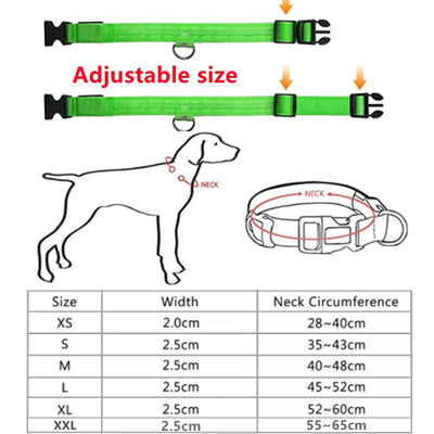 Usb Charging Glowing Dog Collar With Pendant Detachable Luxury Led Light Bright For Small Dogs Cat Night Safety Collar Wholesale