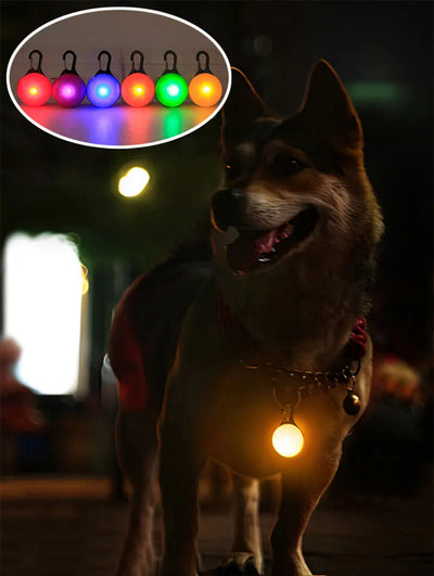 Led Luminous Dog Cat Collar Glowing Pendant Pet Leads Glow Accessories Bright Necklace Luminous Collar Night Safety Decoration