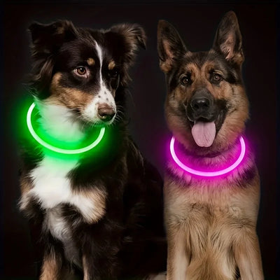Pet Dog LED Light Collar Luminous Anti-Lost Dog Collar USB Rechargeable Dog Necklace Collar
