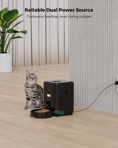 2L Pet Feeder Timing Smart Automatic Dog Pet Feeder For Cats Dog Button WIFI APP Intelligent Dry Food Dispenser Dog Bowl