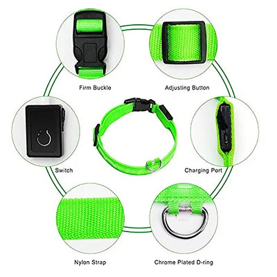 Usb Charging Glowing Dog Collar With Pendant Detachable Luxury Led Light Bright For Small Dogs Cat Night Safety Collar Wholesale